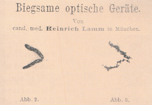 그림 4. Heinrich Lamm의 논문