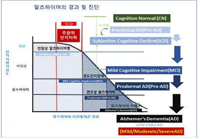 ▲ 그림 4. Clinical Process of Alzheimer’s Dementia