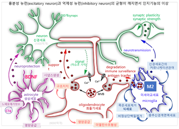 그림 1. Communications on between neuron and microglia in brain./ 출처 : Fruhbeis et al., 2012