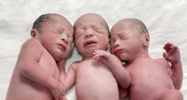 고려대학교 안암병원에서 태어난 세쌍둥이 (왼쪽부터 첫째(남) 둘째(여) 셋째(남))