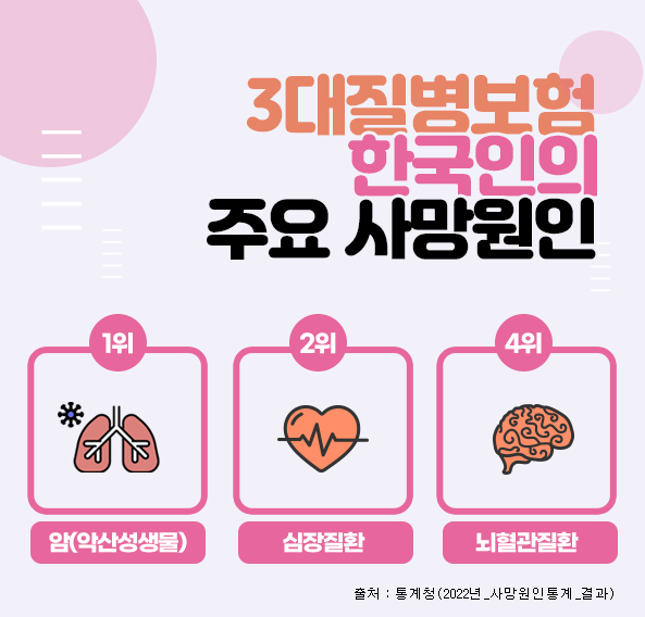 암보험 보장내역 비교